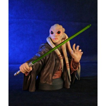 Star Wars Bust 1/6 Kit Fisto 18 cm